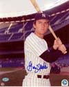 Graig Nettles